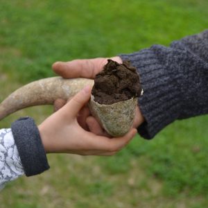 Fattoria Cuore Verde