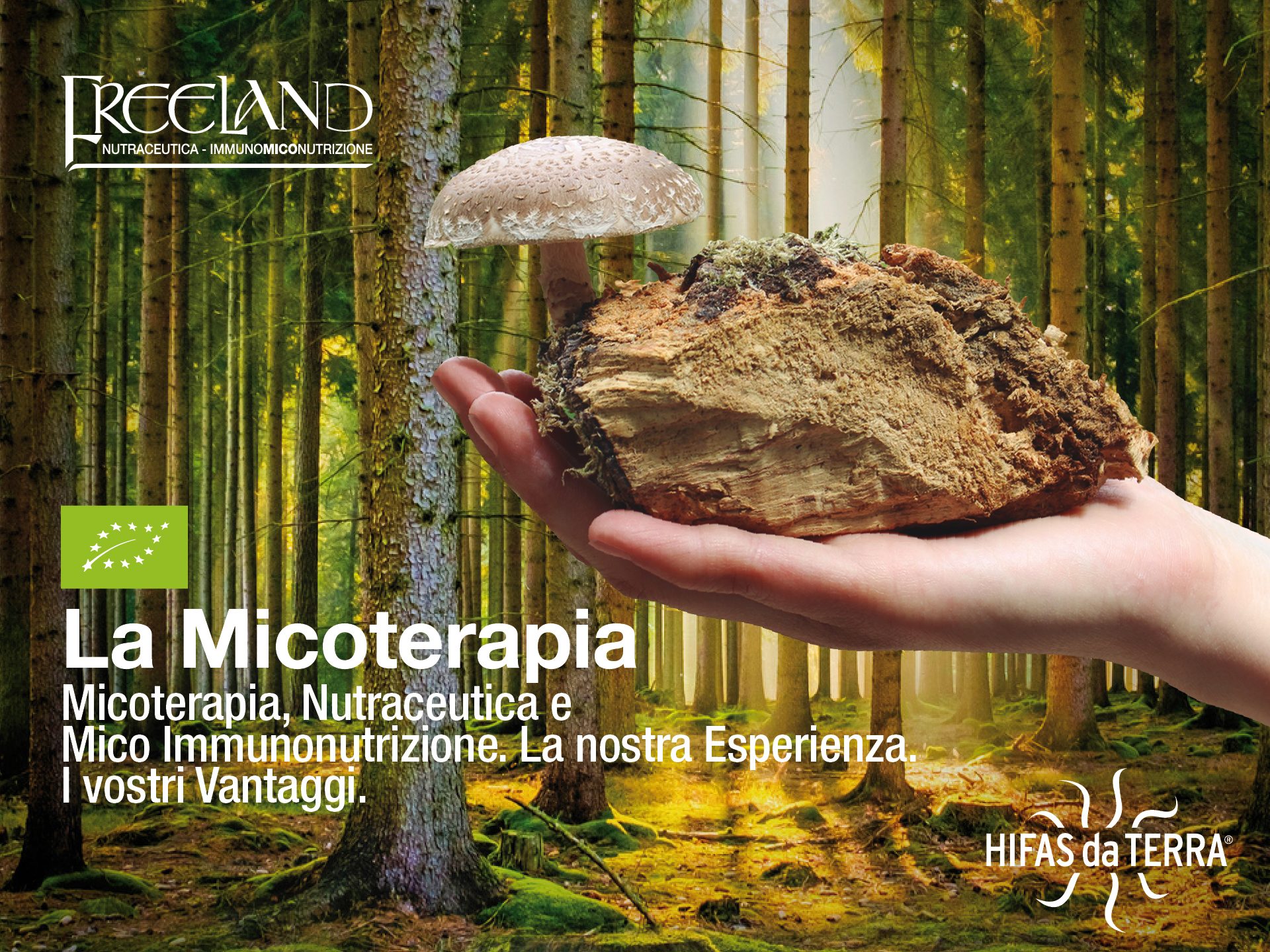 freeland-micoterapia