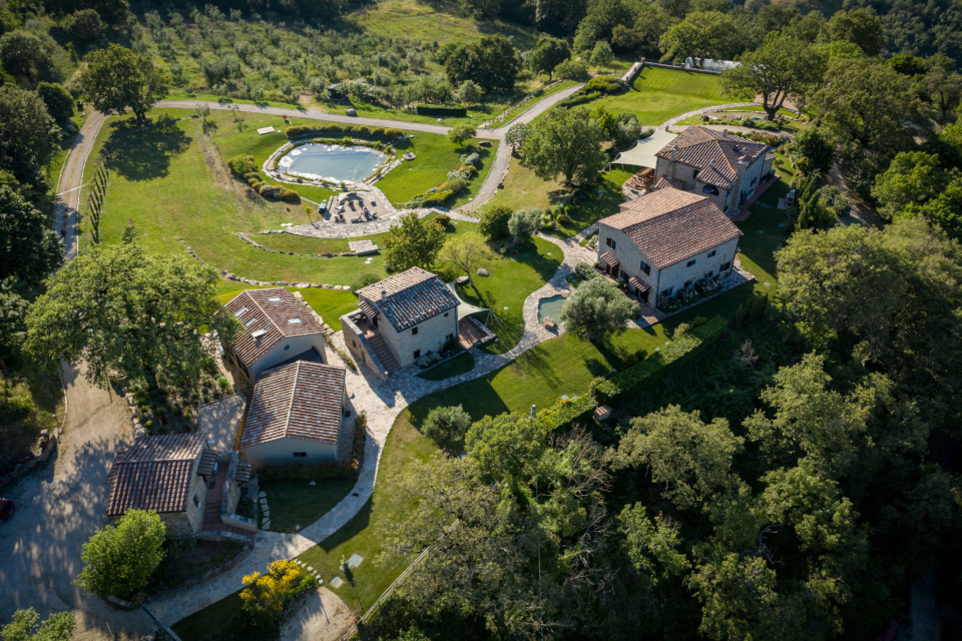 Sasseta Alta